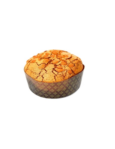 5 Formen für niedrige Panettone 1kg