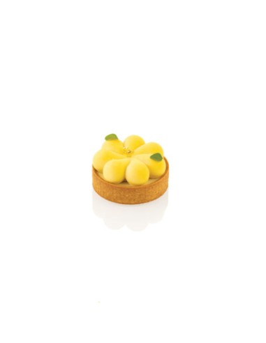 KIT TARTE RING BLOSSOM Stampo in...