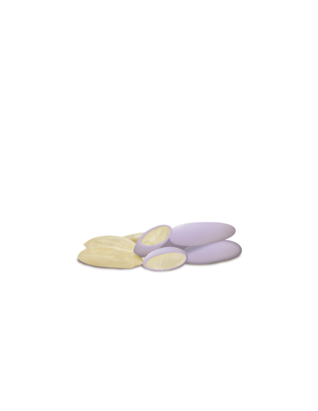 Confetti mandorla Maxtris Avola Nuance Lilla 1 Kg