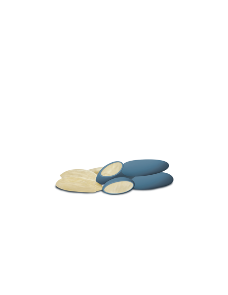 Confetti mandorla Maxtris Avola Nuance Blue 1 Kg