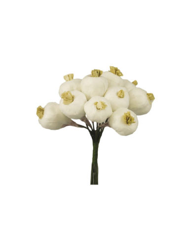 Knoblauchpflanzen zum Dekorieren von Gastgeschenken – 1,5 x 9 cm