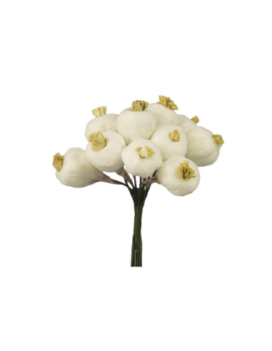 Piante di Aglio per decorare le...
