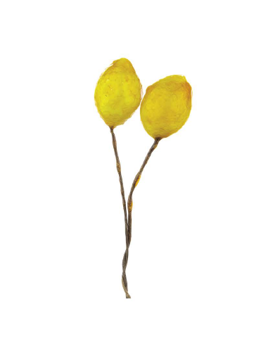 Pflanze mit 2 Zitronen zum Dekorieren von Gastgeschenken – 1 x 2 cm