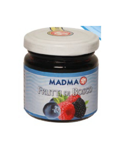 Beerenpaste 100 gr für Eis und Cremes