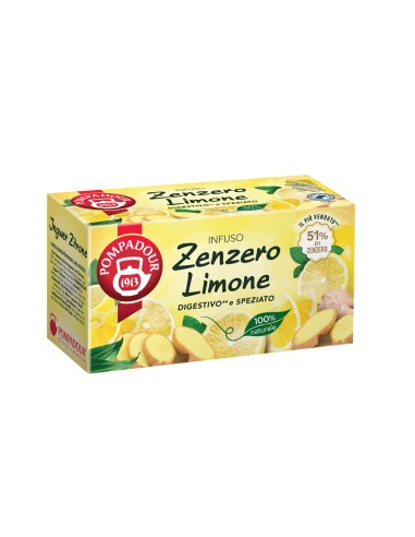 Ingwer-Zitronen-Aufguss – 20 Beutel – würzig und verdauungsfördernd