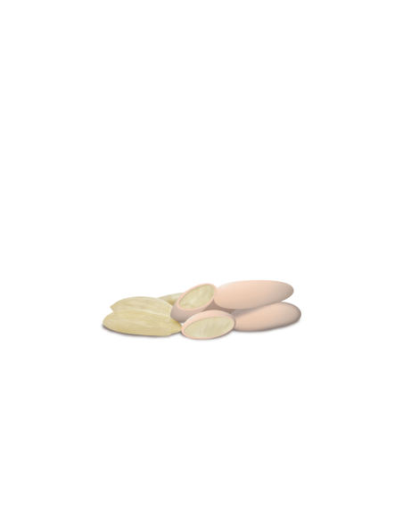 Confetti mandorla Maxtris Avola Nuance Nude1 Kg
