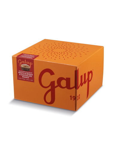 Panettone Gran Galup frutti di bosco...