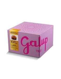 Panettone Gran Galup ai...