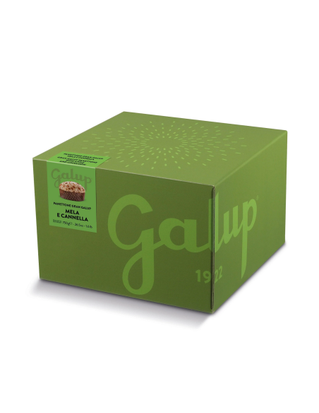 Panettone Panettone Gran Galup mela e cannella 750g