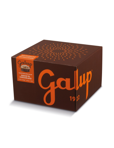 Panettone Gran Galup gocce di...