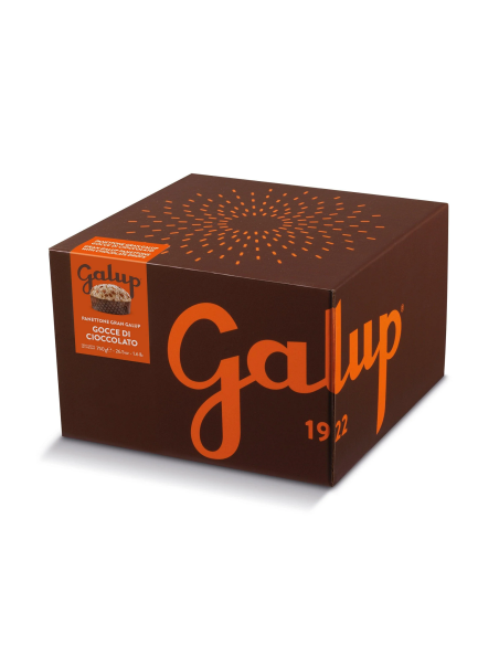 Panettone Gran Galup Schokoladenstückchen 750g