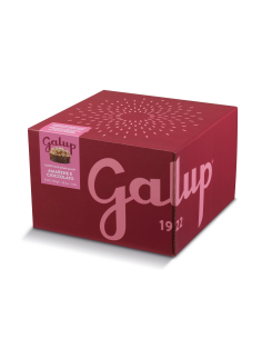 Panettone Gran Galup con...
