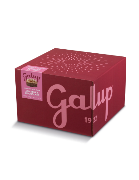 Panettone Gran Galup mit schwarzen Kirschen und Schokolade 750g