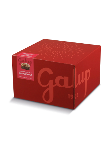 Traditioneller Panettone Gran Galup 750 gr