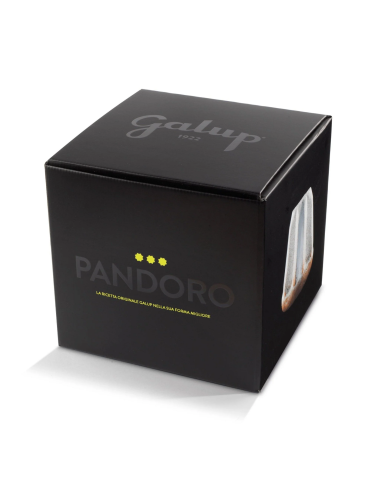 Pandoro Galup classico Artigianale 1000g