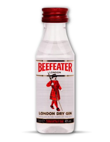 Gin Beefeater Mignon Cl 5 –...