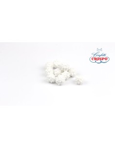 Capricciosi Crispo mandorla...