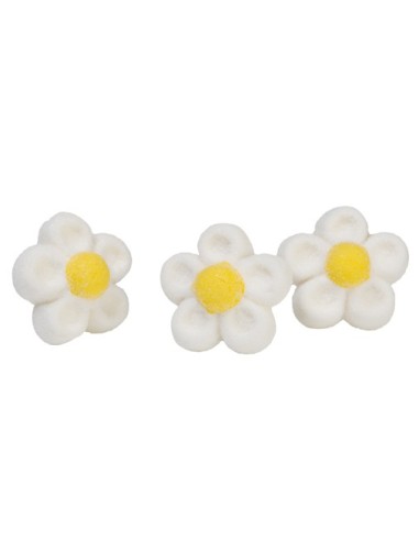 Weiße Bulgari Marshmallow-Gänseblümchen 900 gr