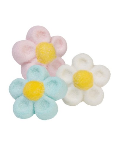 Marshmallow Gänseblümchen Vari Farben Bulgari 900 gr