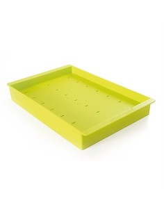 Grünes Espogel Up-Eisdisplay