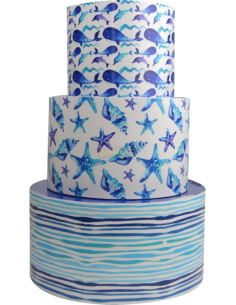 Torta a tema in vinile Mare...