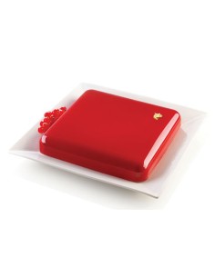 Stampo in silicone Quadro...