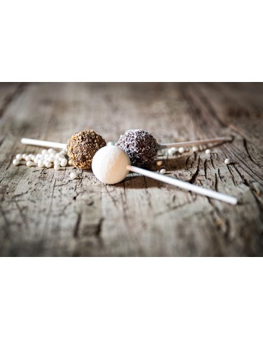 Silikonform für Cake Pops + Rezept