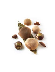 Marron Glacè 110 Silikonform 2