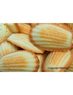 Stampo mini madeleine 2