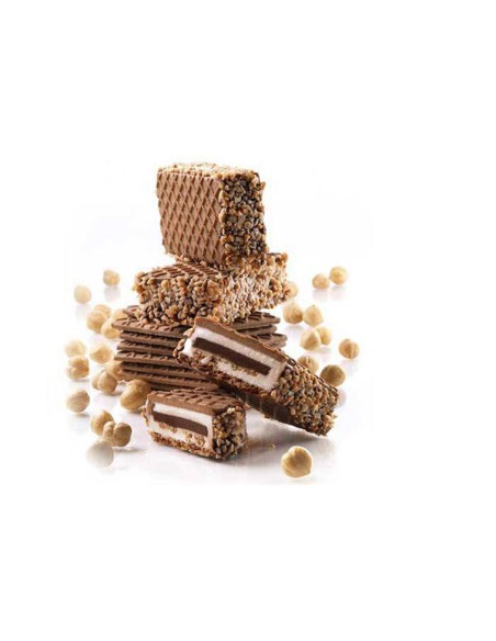 Set mit 2 Silikon-Eisformen Classic Biscuit