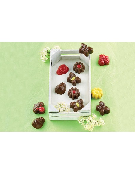 Choco Springlife Silikonform 36 x 26 x H 15 mm