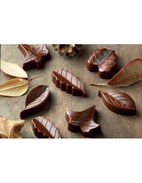 Stampo silicone cioccolatini natura
