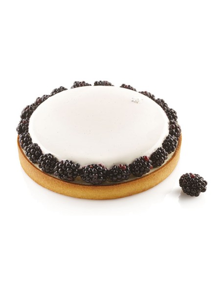 Silikonform Kit Tarte Ring 210 + 1 Ring