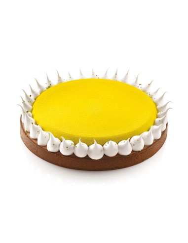 Stampo in silicone Kit Tarte Ring230...