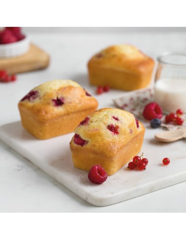 Stampo antiaderente mini plumcake...