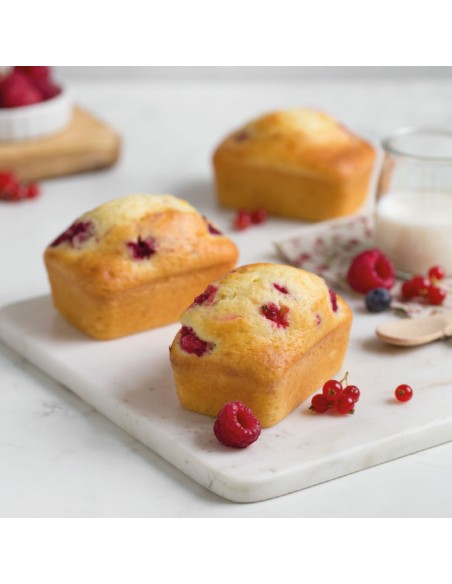 Stampo antiaderente mini plumcake 9,5xh6,3cm