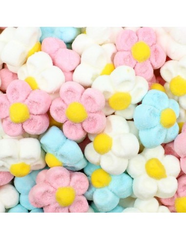 Marshmallow Gänseblümchen Vari Farben...