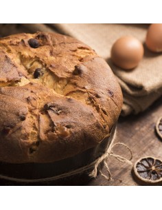 5 Stampi panettone basso in... 2