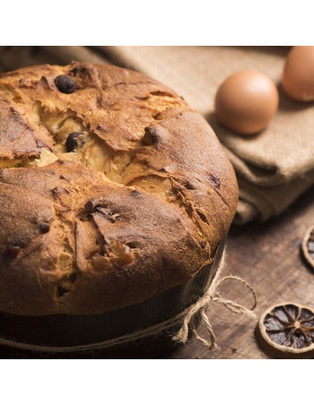 5 Stampi panettone basso in carta da forno 1 kg