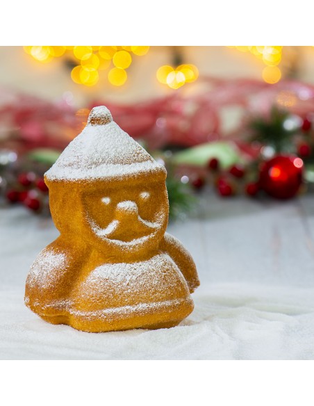 Stampo 3D Babbo Natale 15,5x8xh20 cm + ricettario