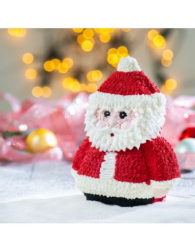 Stampo 3D Babbo Natale 15,5x8xh20 cm...