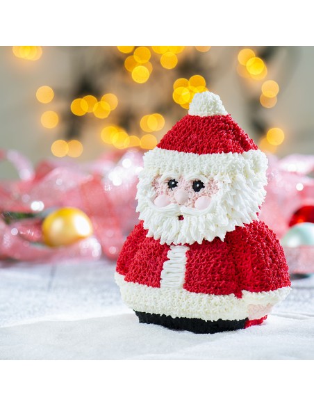 Stampo 3D Babbo Natale 15,5x8xh20 cm + ricettario